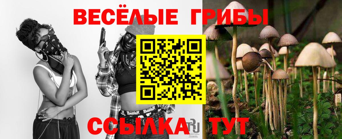 Псилоцибиновые грибы Magic Shrooms Кемерово