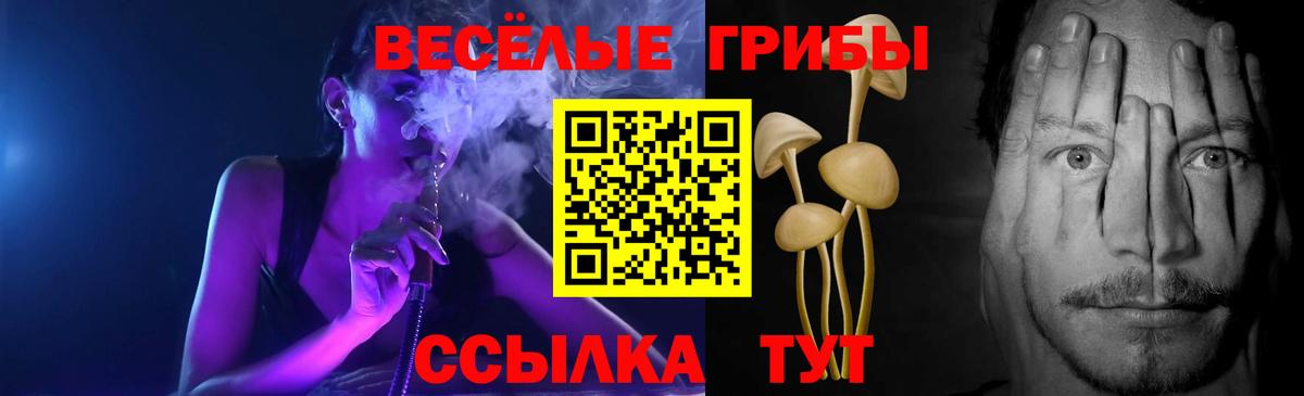 Кемерово  Псилоцибиновые грибы Psilocybe  Галлюциногенные грибы мицелий  Вход с VPN 